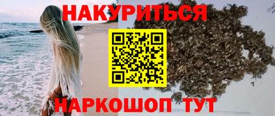 сатива Кунгур