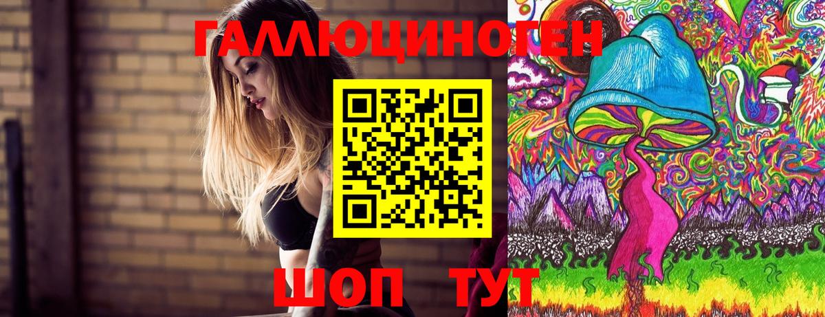 Псилоцибиновые грибы Psilocybine cubensis  Псилоцибиновые грибы Cubensis  Вход с VPN  Димитровград 