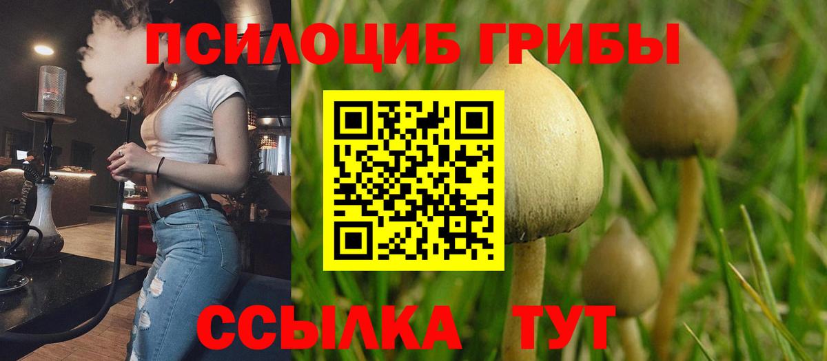 Галлюциногенные грибы MAGIC MUSHROOMS Димитровград