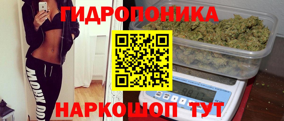 Бошки марихуана сатива  Канабис ГИДРОПОН  Димитровград  Вход с VPN 